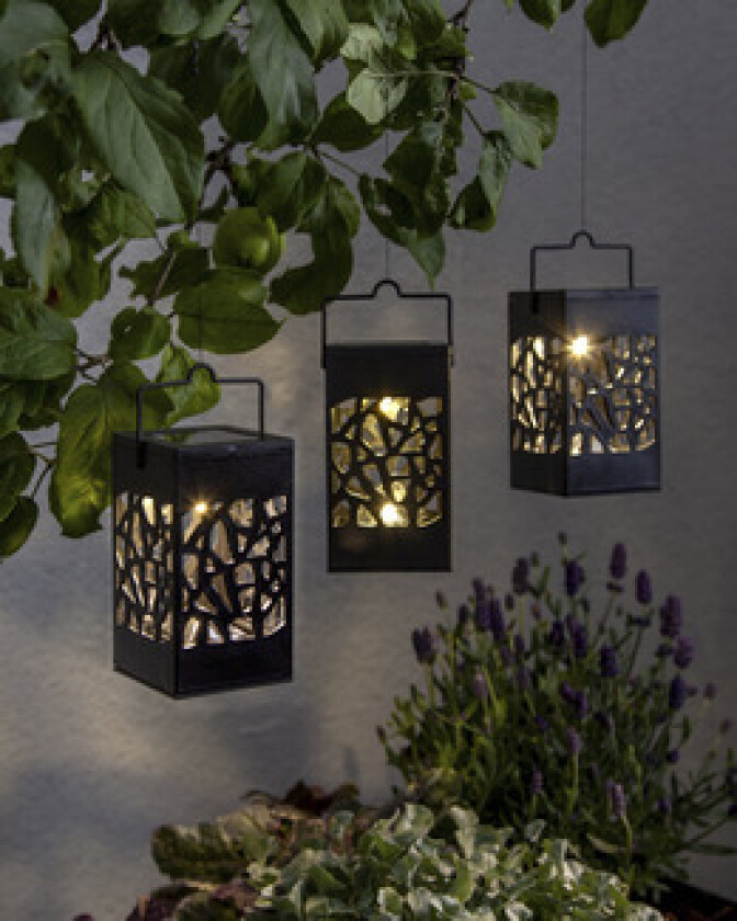 Solcelledekorasjon Izola Mini 3-Pk