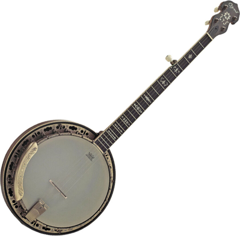5 String Banjo Bronze Hardware