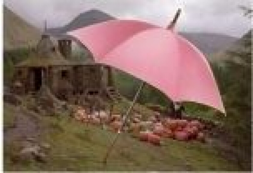 Harry Potter Rubeus Hagrid Umbrella Wand
