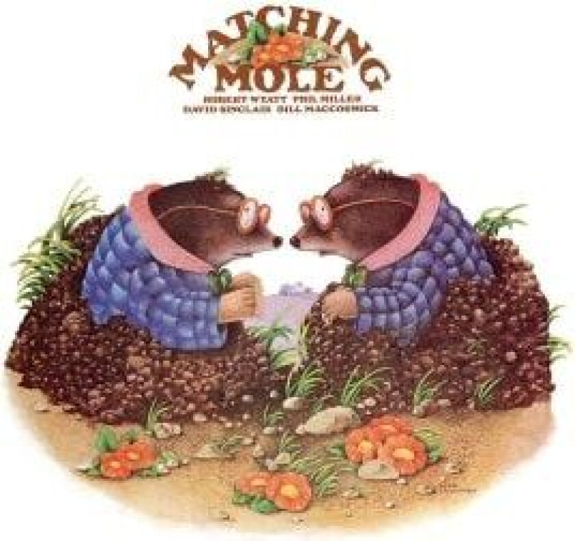 Matching Mole - Matching Mole Yellow Orange