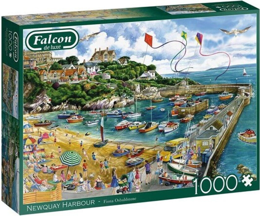 Puzzle Falcon - Newquay Harbour