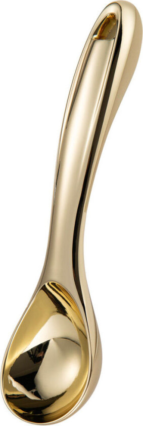 Modern House - Glory Isskje, Gull