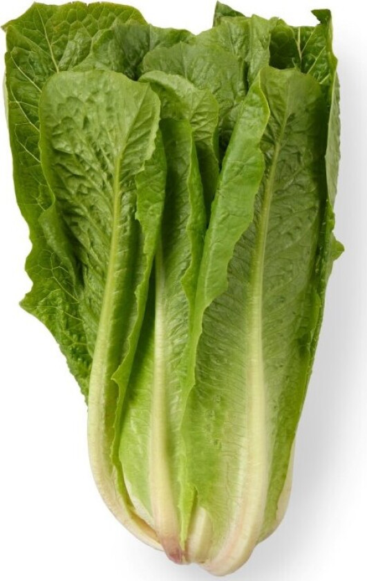 Romano Salat Bama