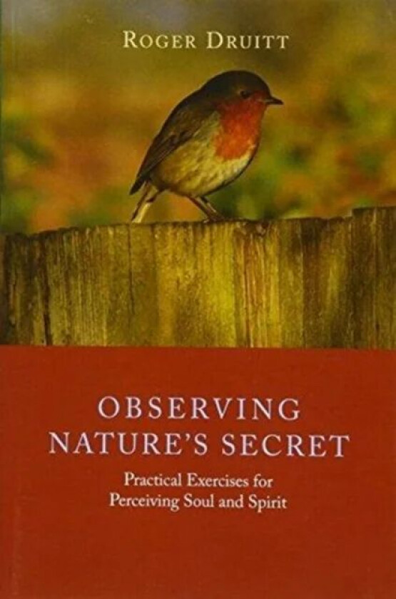 Observing Nature's Secret av Roger Druitt