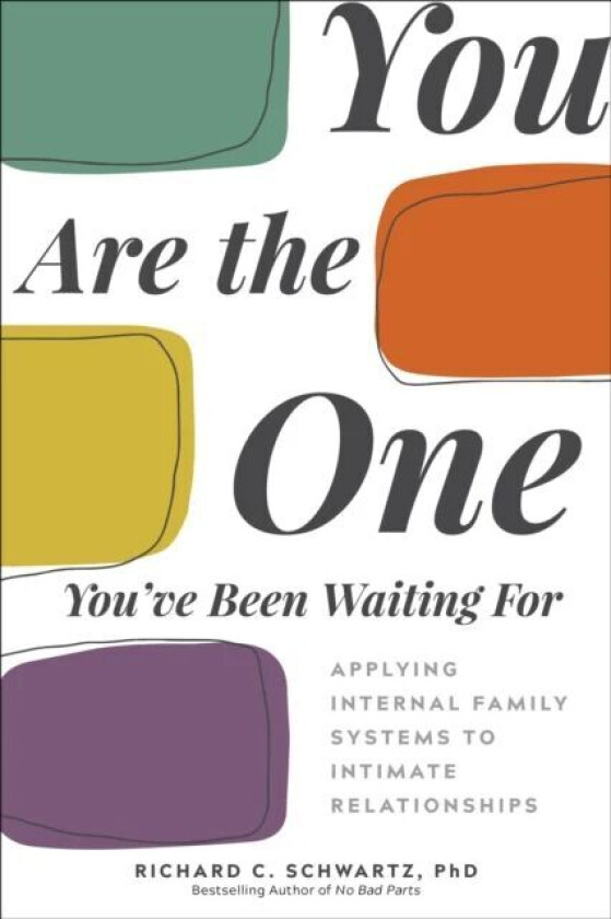 You Are The One You'Ve Been Waiting For Av Richard C. Schwartz