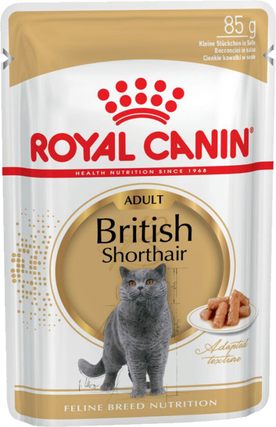 Royal Canin British Shorthair Wet (12x85g)