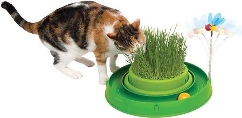 CATIT - Play´N Scratch Cat Grass Green - (787.0032)