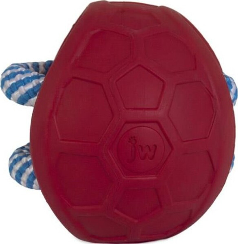 Fits All Treat Ball