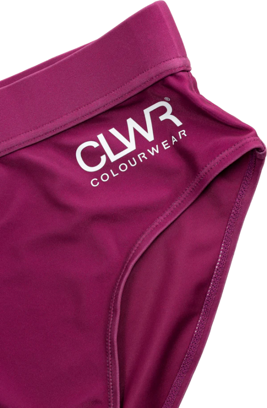 Women's High Waist Bikini Bottom Purple M, Purple