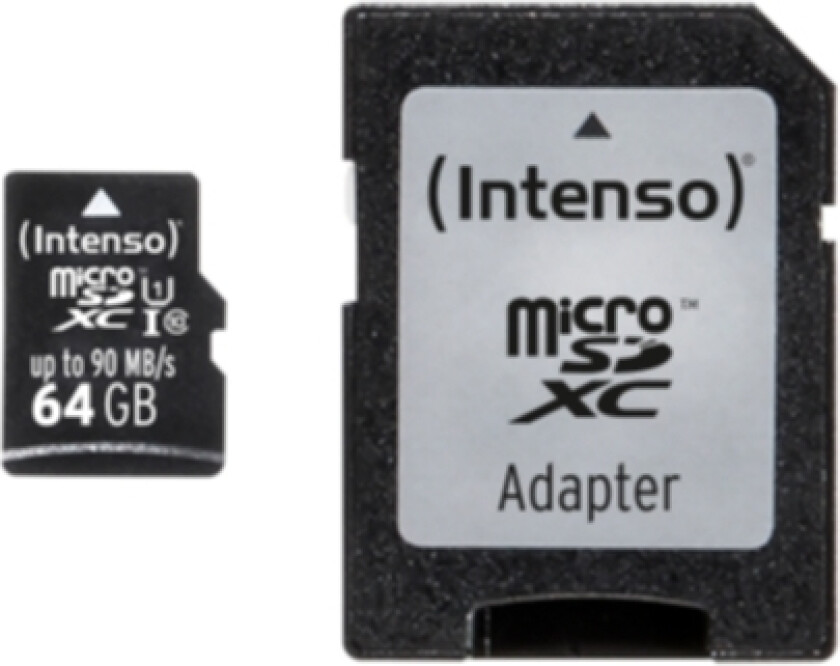 Micro SD 64GB UHS-I Professional