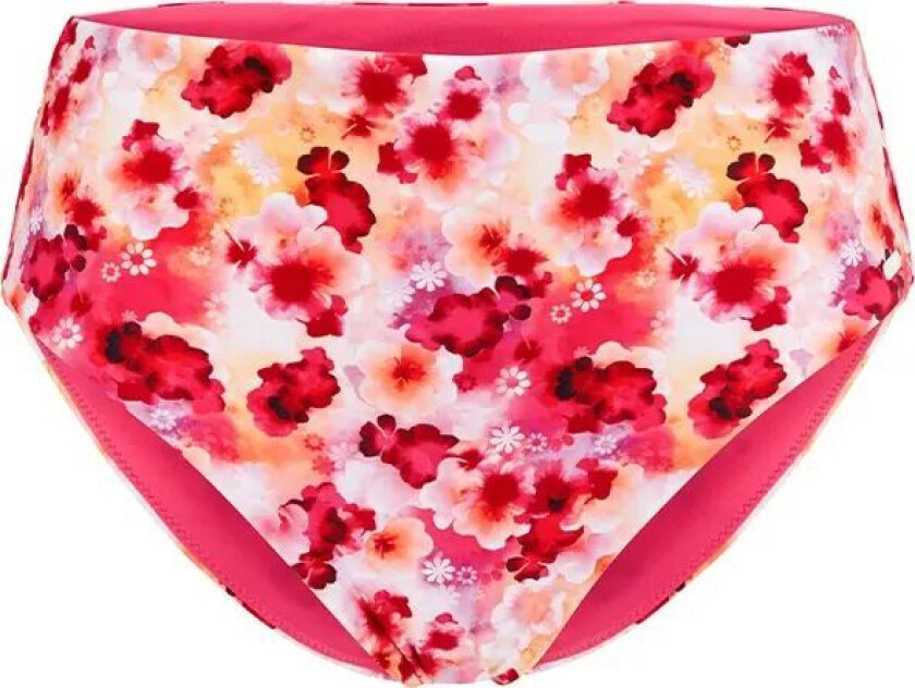 Women's Cuba Maxi Bikini Briefs Pink 36, Pink