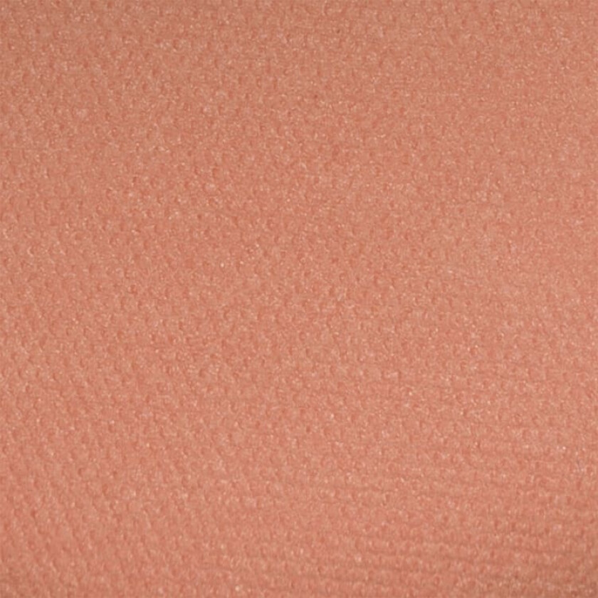 Perfect Blush Rouge 1 Warm Nude