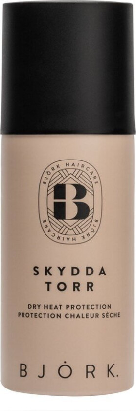 Björk Skydda Torr Mini 100ml