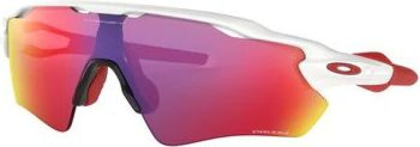 Radar EV Path Pol White w/Prizm Road, multisportbrille White w/ Prizm Road