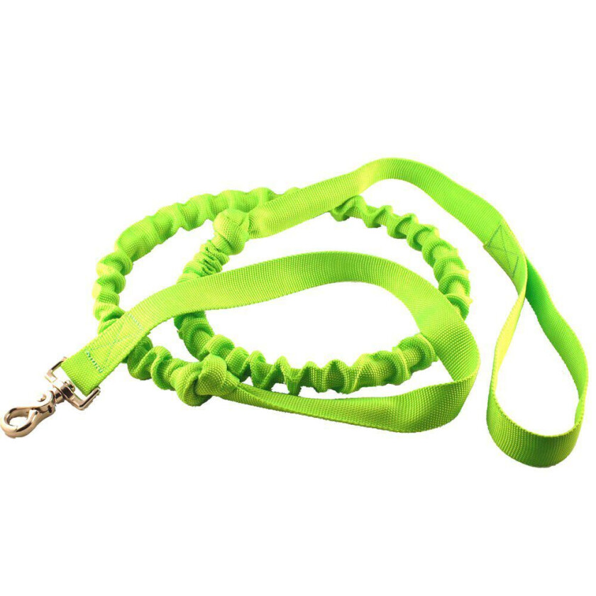 Pulling Leash Pro 2,5 x 240 cm - Lime