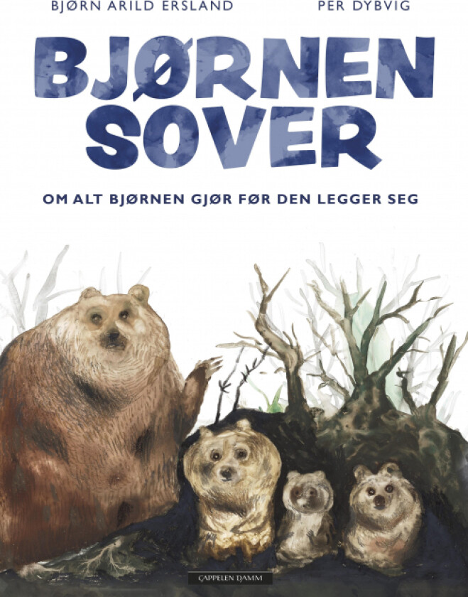 Bjørnen sover av Bjørn Arild Ersland