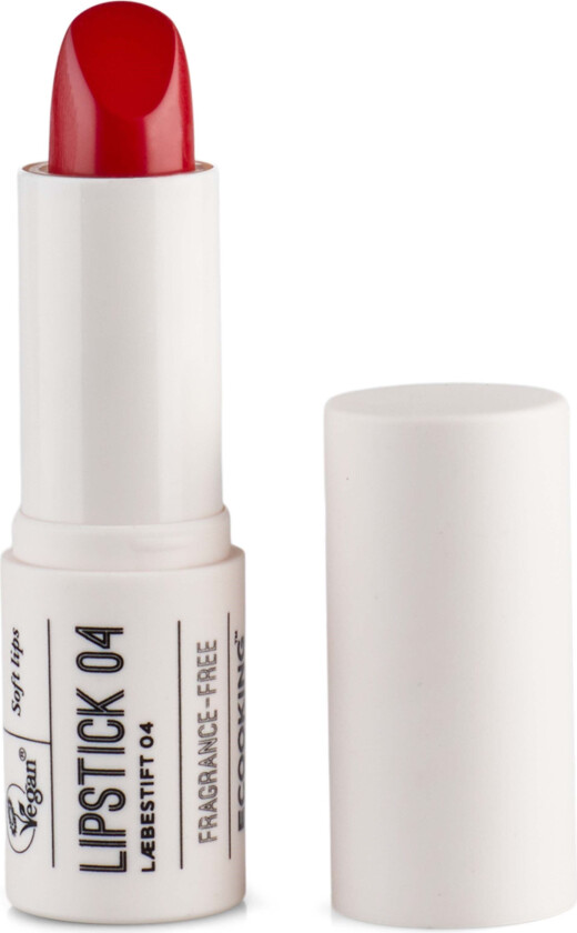 Lipstick 04