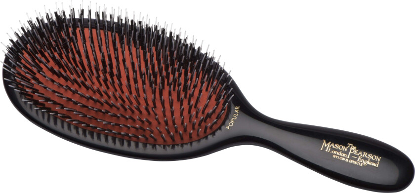 Brush Bn1 Large Bristle/Nylon Popular