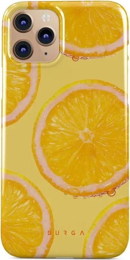 Burga iPhone 11 Pro Tough Fashion Deksel - Bitter