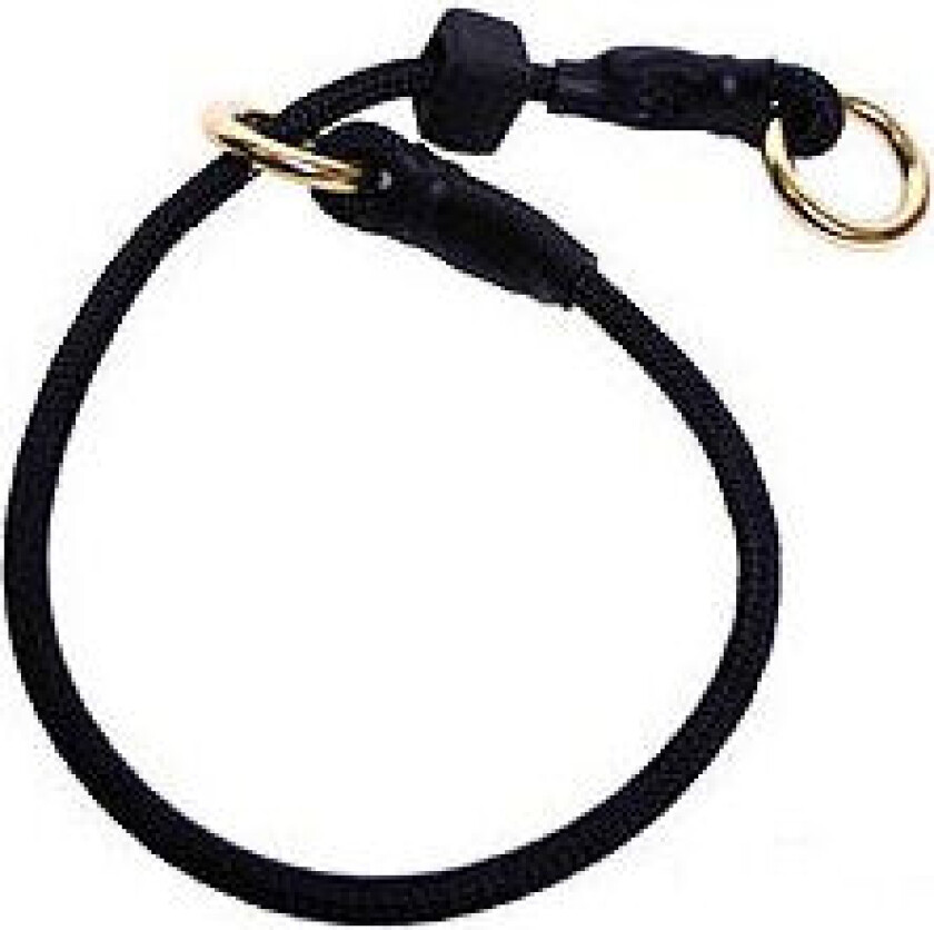 Dressyr Halsband med Stopp (45 cm)