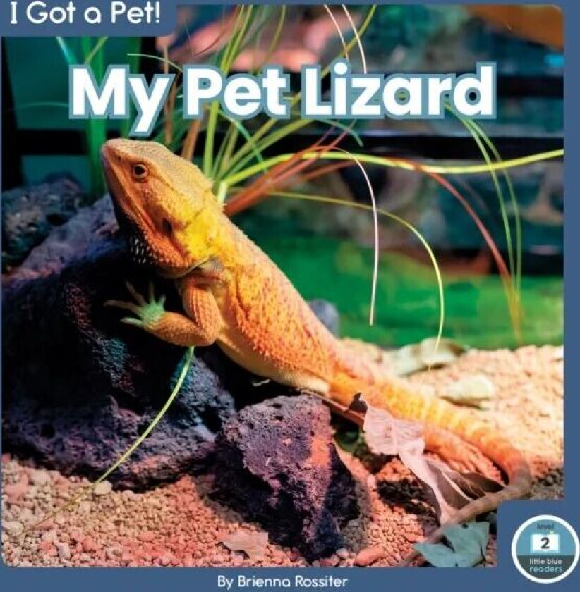 I Got a Pet! My Pet Lizard av Brienna Rossiter