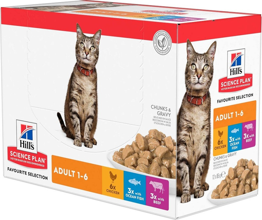 Hill's Science Plan Cat Adult Chicken, Beef Ocean Fish 12x85 g