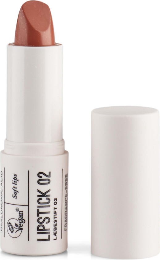 Lipstick 02