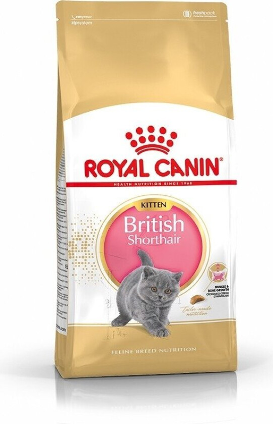 Royal Canin British Shorthair Kitten (2 kg)