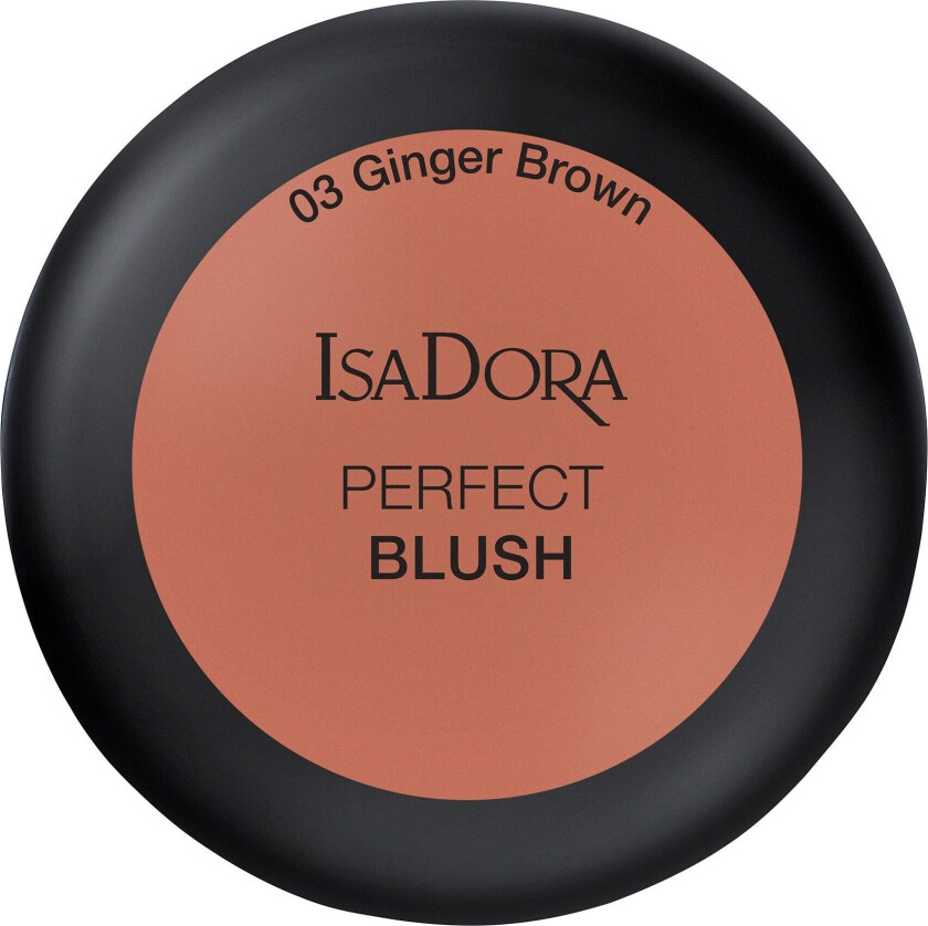 Perfect Blush Rouge 3 Ginger Brown