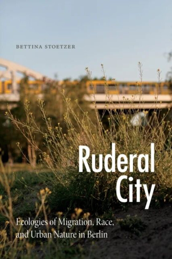 Ruderal City av Bettina Stoetzer