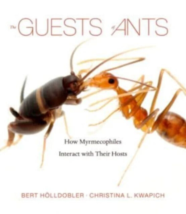 The Guests of Ants av Bert Holldobler, Christina L. Kwapich