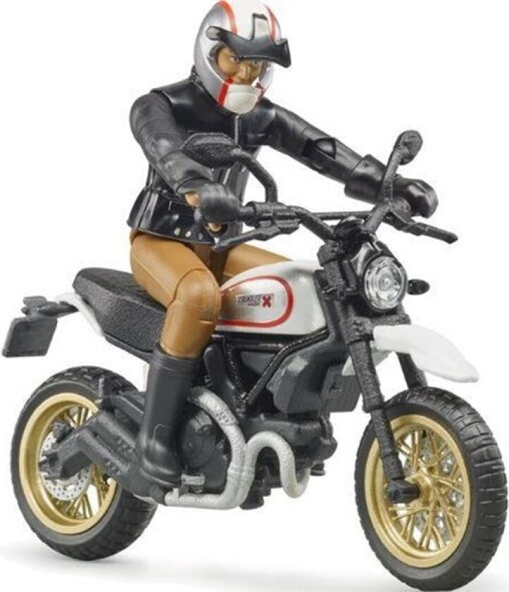 Ducati Scrambler Desert Sled with rider