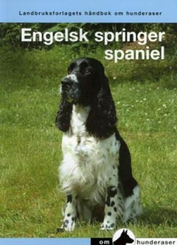 Engelsk springer spaniel