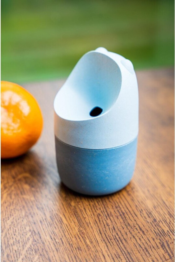 KONNA Fruit Fly Trap