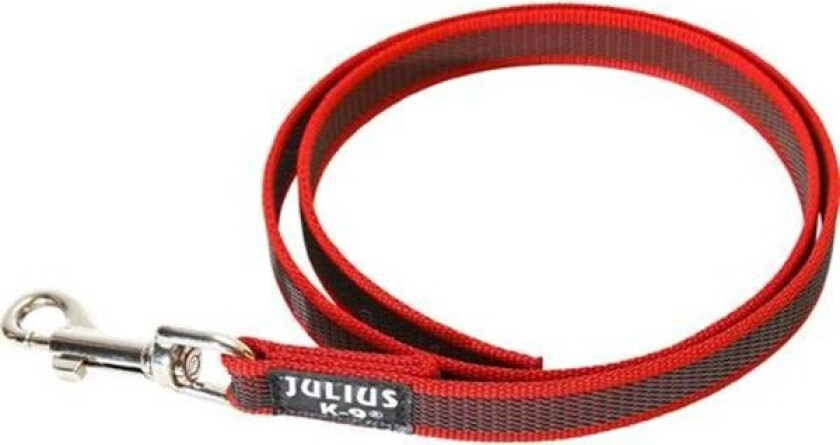 IDC Color&Gray Leash w/o Handle Red/Grey 20mm/1m