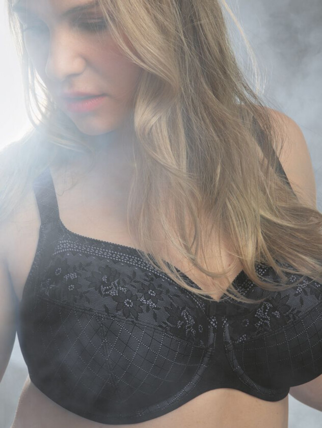 Rosa Faia Rosemary 4-Parts Bh-70f 70f 70F