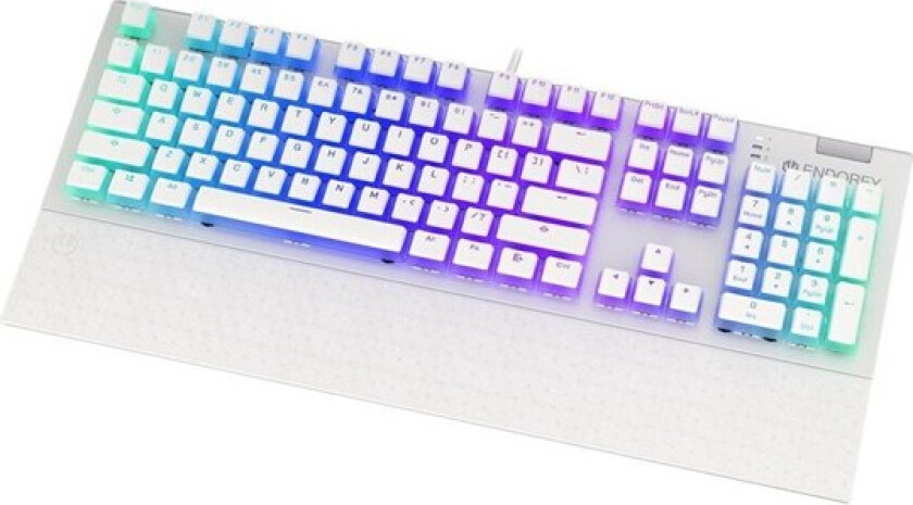 Omnis - keyboard - white - Tastatur - Hvit