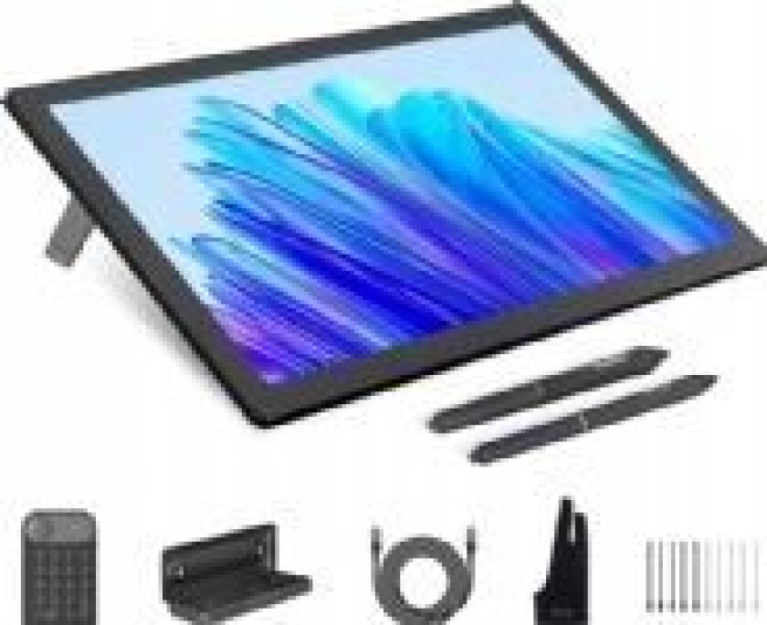 Grafisk nettbrett HUION Kamvas Pro 19