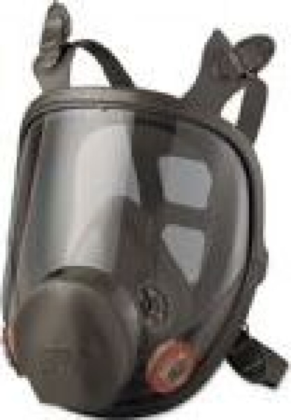 Helmaske 6900 str L
