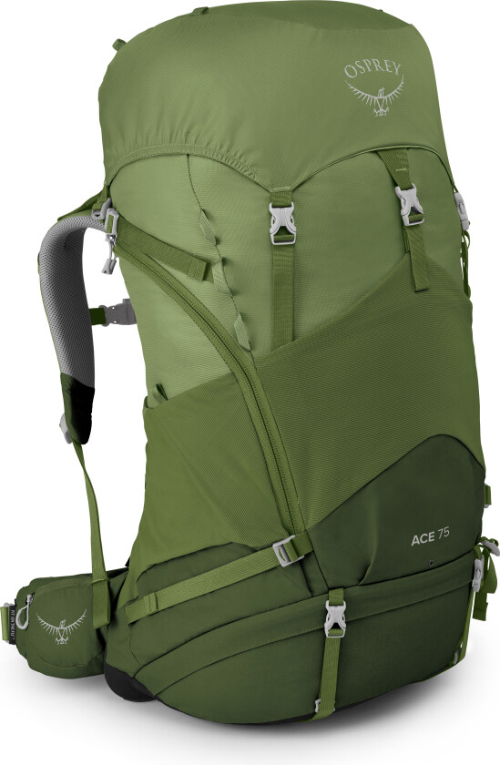 Ace 75 Venture Green OS