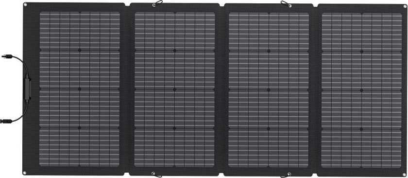 Solpanel 220 W