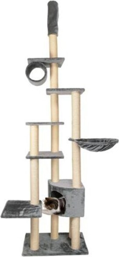 Bilde av Madrid Klorestativ Katt Grå