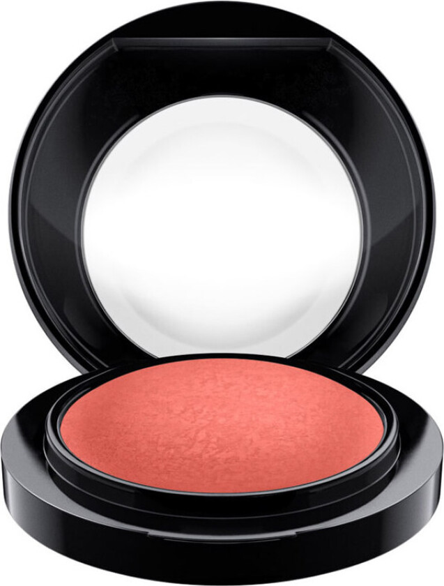 Mineralize Matte Blush Flirting With Danger