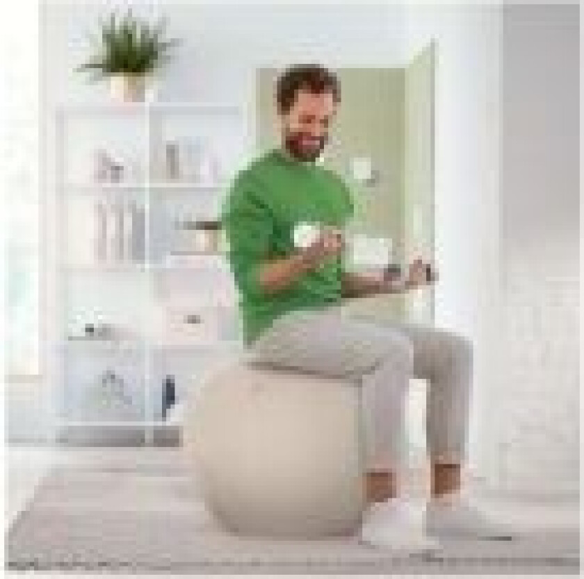 Ergo, Grå, Stoff, Innendørs, Sfærisk, 150 kg, 750 mm