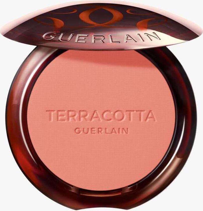 Terracotta Blush 02 5g