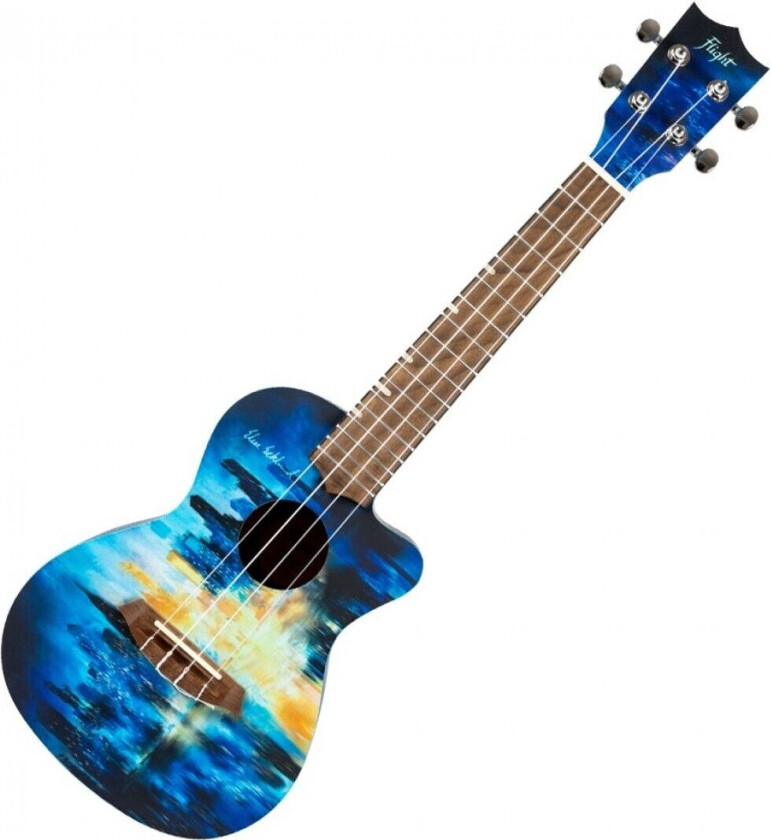 Elise Ecklund Auc City Concert