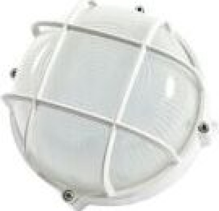 LED kjellerlys rund IP65 10W cw