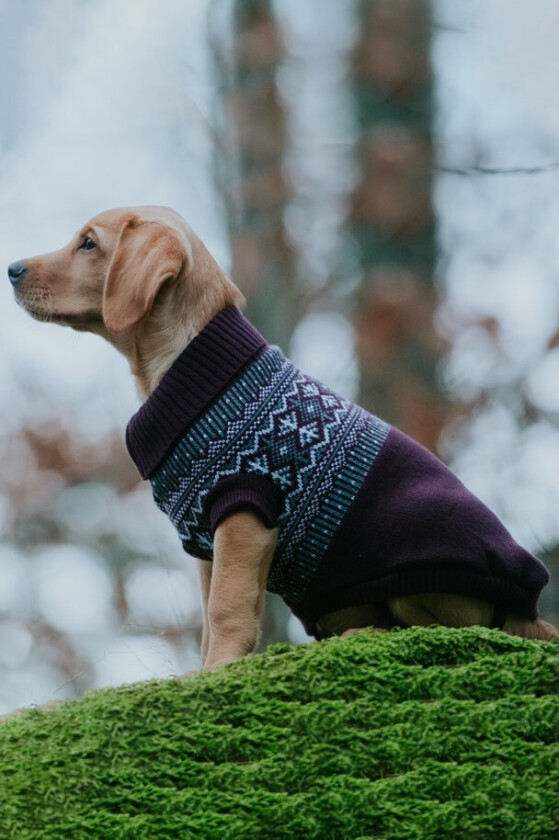 Dogman Iselin Hundegenser Vinrød (25 cm)