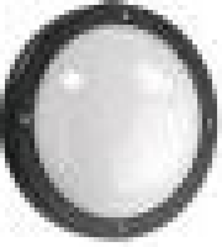 Veggarmatur Primo E27 sort