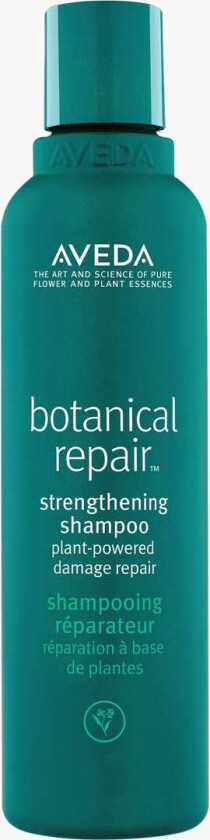 Botanical Repair Shampoo  200 ml